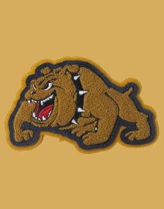 Wholesale Patches Portfolio 2